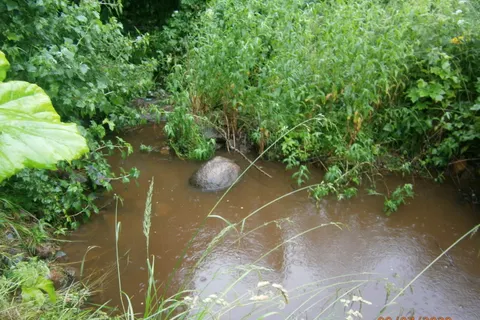 Под Угличем деревенские колодцы наполнились «мусорной водой»