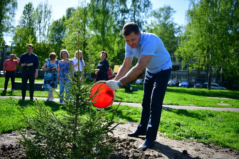У мэра Ярославля нет денег на зеленую траву