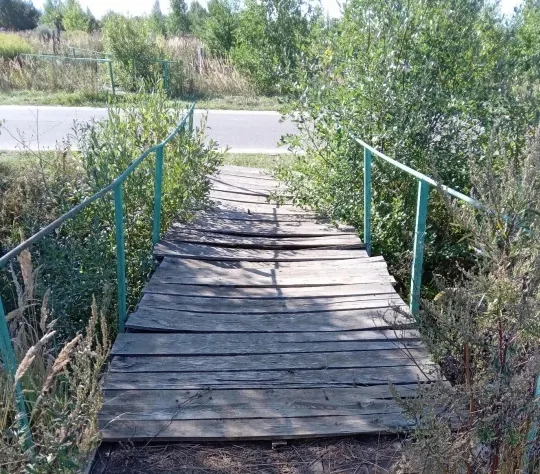 Заместителя мэра Ярославля обязали устранить нарушения на Осташинском кладбище