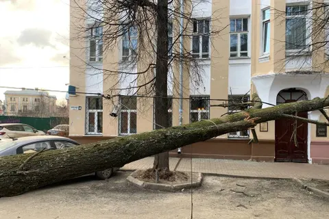 Упавшее дерево перекрыло улицу Флотская в Ярославле