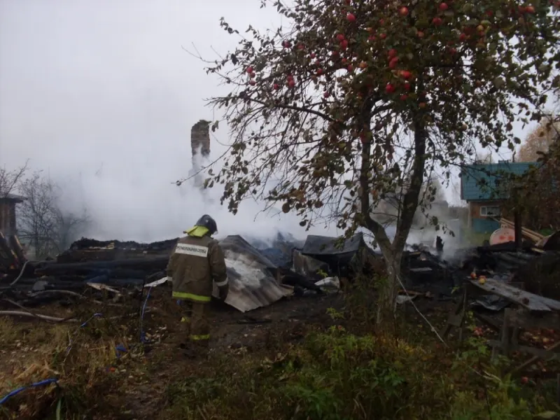 В Ярославской области в огне погибли пожилая женщина и ребенок