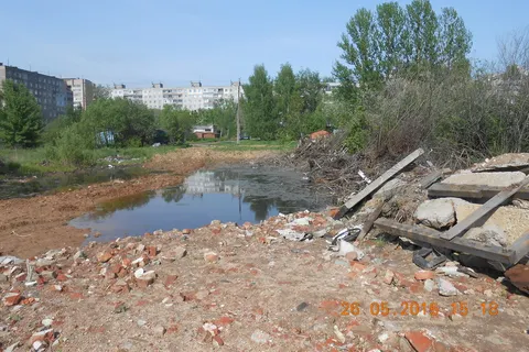 Прокуратура Ярославля требует убрать две свалки в Брагино