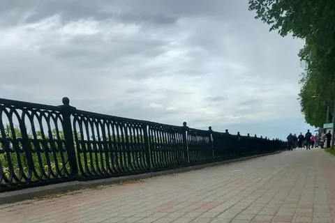 В центре Ярославля появились медвежьи следы