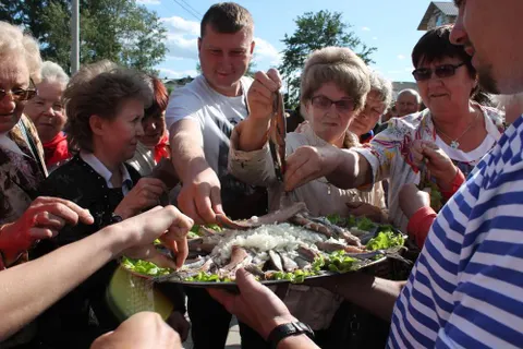 В Переславле-Залесском прошел фестиваль селедки