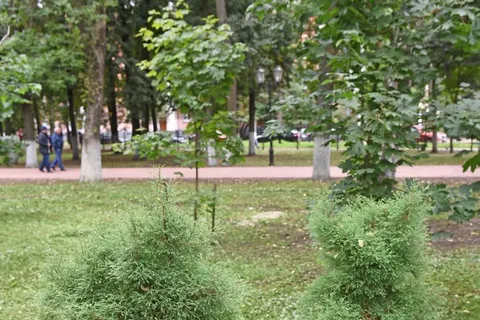 Благоустройство Бутусовского парка в Ярославле завершено