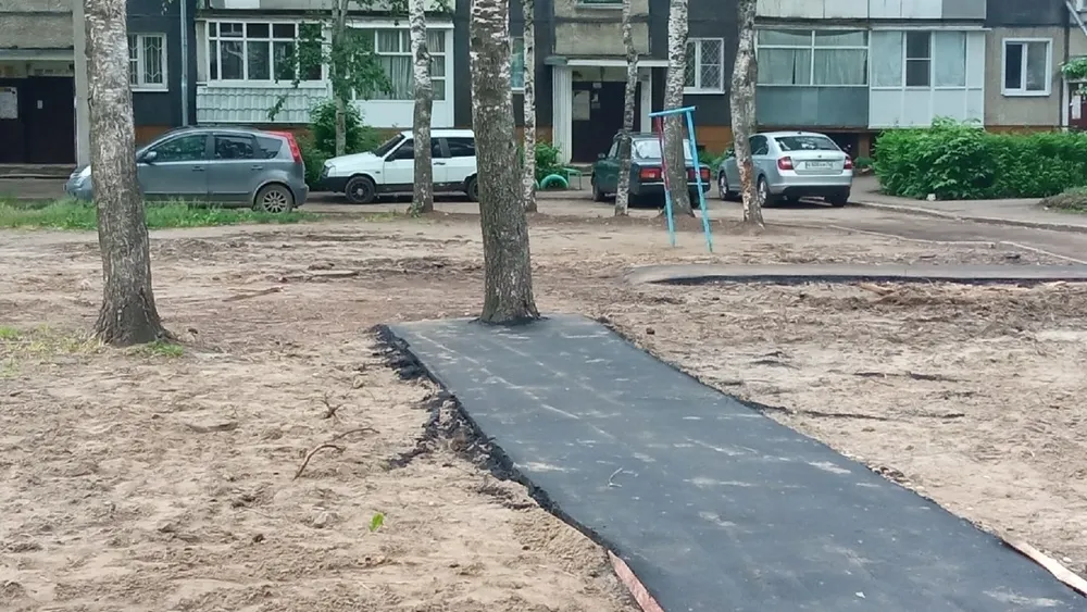 В Ярославле подрядчик покинул двор со знаменитой березой   