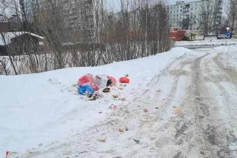 Во Фрунзенском районе Ярославля не поставили баки на контейнерной площадке