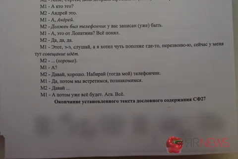 Пресс-секретарь мэра Ярославля Светлана Ефимова Евгению Урлашову о Думе и областном правительстве: «Я говнеца в их сторону добавляю!»