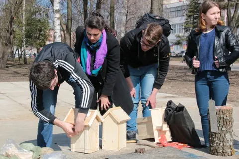 В парке Мира в Ярославле птицы отметили новоселье