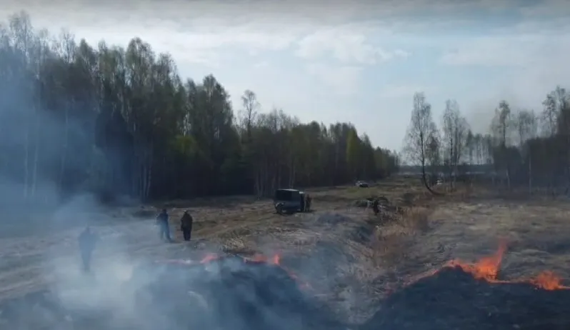 В Ярославской области случился лесной пожар