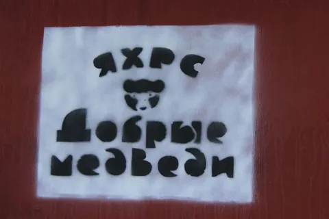 Депутаты муниципалитета Ярославля побывали в гостях у «Добрых медведей»