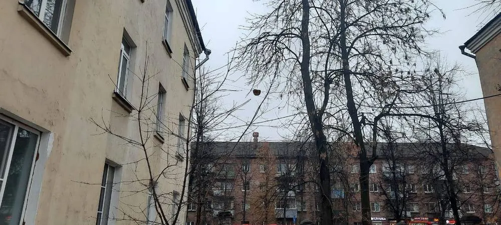 В Ярославле на проводах повис пень