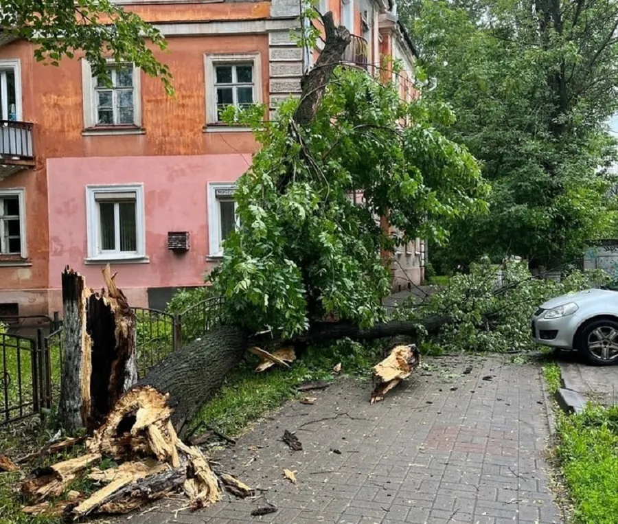 В Ярославле ночью устраняли последствия вчерашней грозы