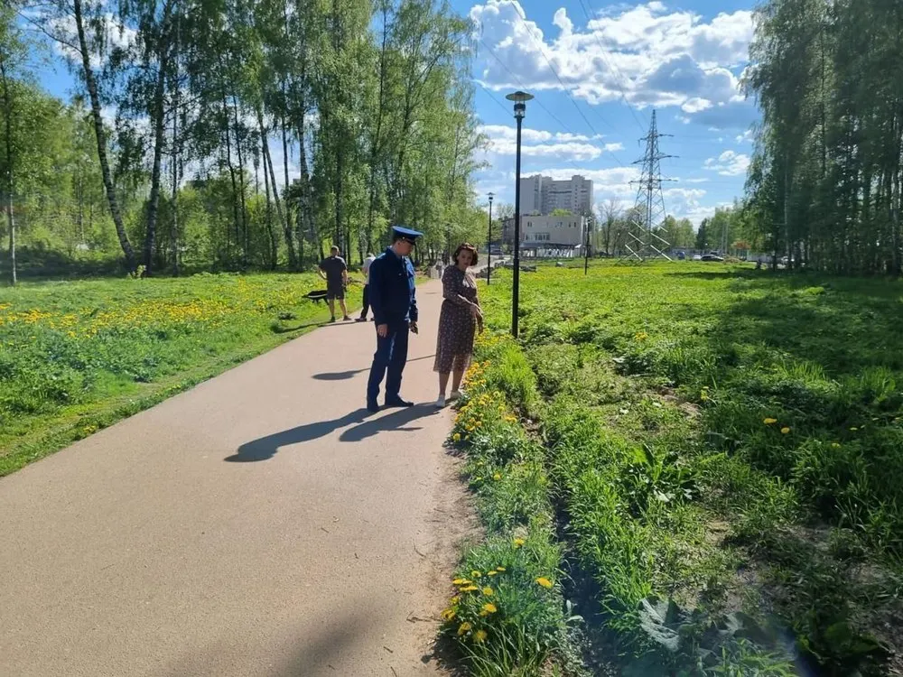В Ярославле возбудили уголовное дело по Павловской роще