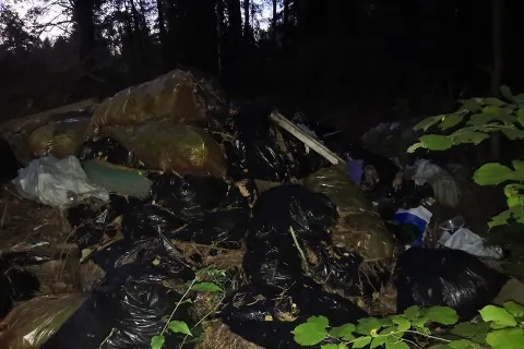 В Ярославской области в дубовой роще устроили огромную свалку: видео