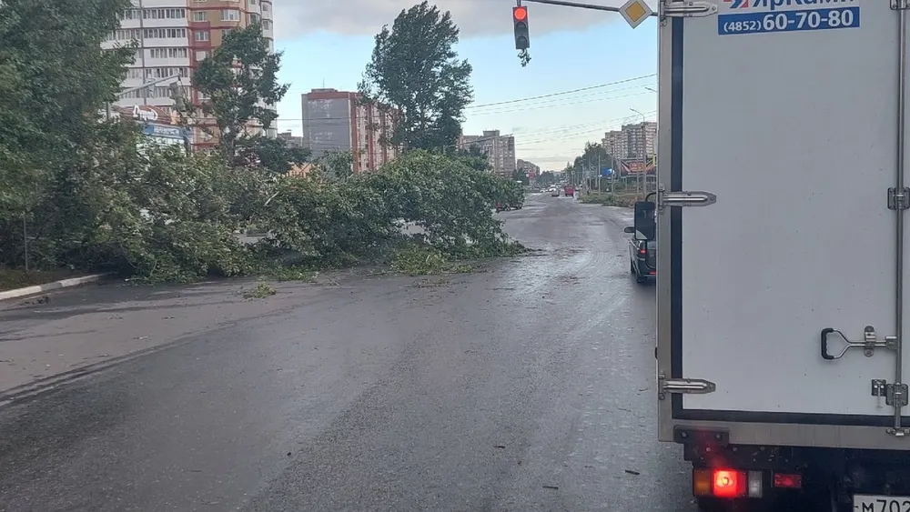 Проспект Машиностроителей в Ярославле завалило поваленными ураганом деревьями