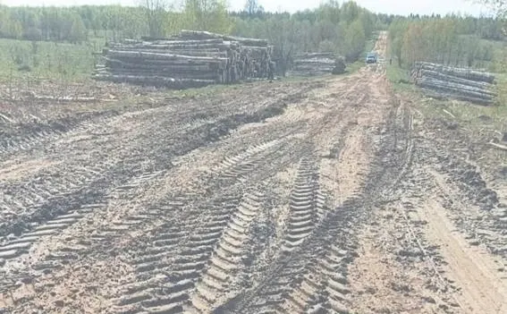 Ярославский фермер борется за дорогу без лесовозов