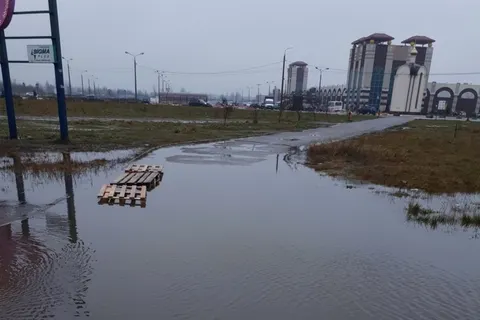 В Ярославле появился новый квест «Дойди до остановки»
