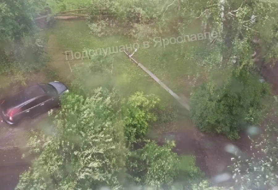 В Ярославле из-за грозы и ветра падают столбы и деревья