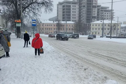 Тропки вместо тротуаров: по Ярославлю можно передвигаться только гуськом
