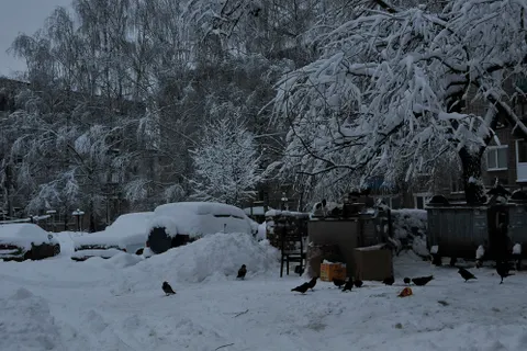 Состояние дворов и крыш в Ярославле критическое