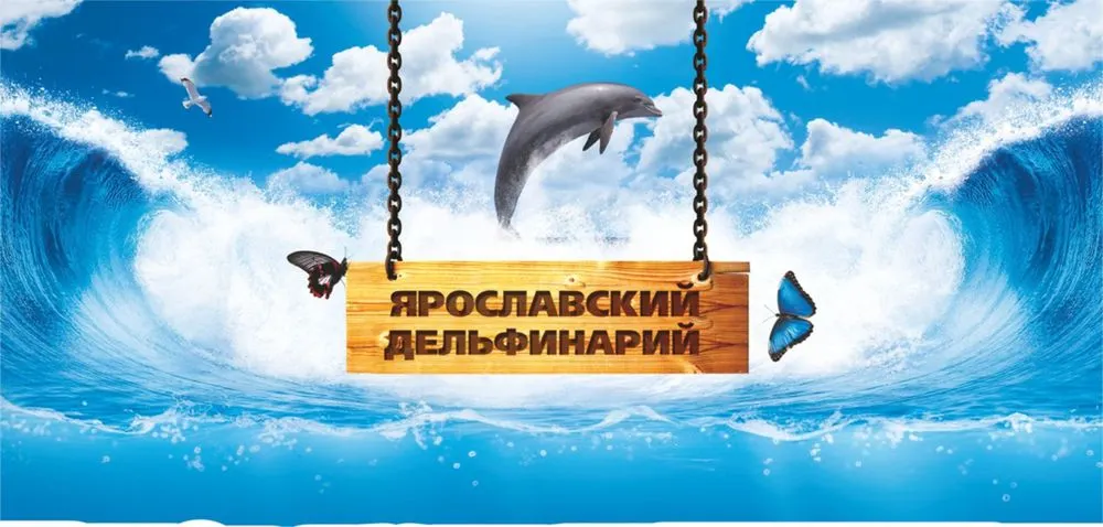 Возбуждено дело о незаконном вывозе животных из Ярославского дельфинария