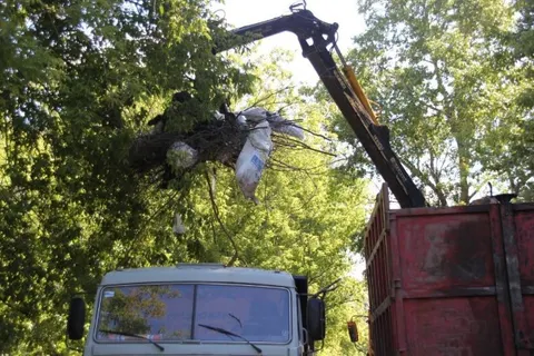 В Ярославле ликвидировали очередную несанкционированную свалку