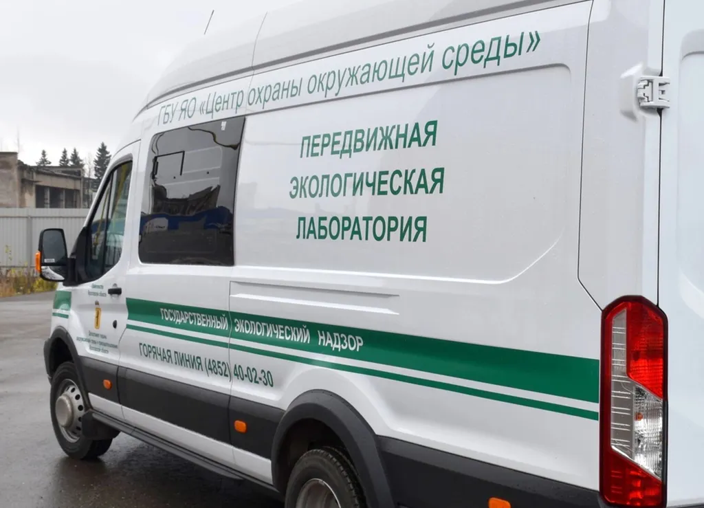В Ярославской области продолжают борьбу с экологическими нарушениями