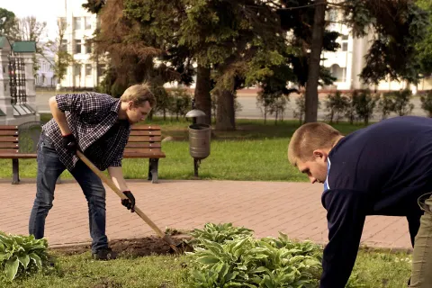 В Ярославле жители вместо мэрии высадили цветы на центральной клумбе