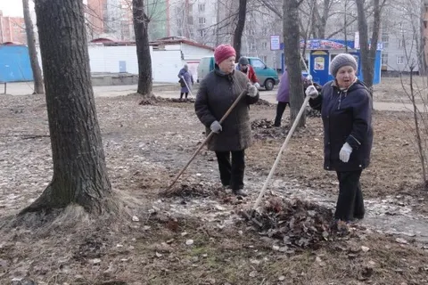 В Красноперекопском районе Ярославля проведено 25 субботников