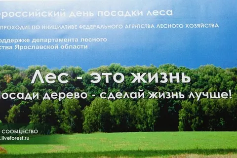 В Ярославской области стартовала акция «День посадки леса» (фото)