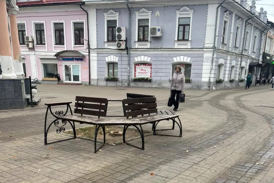 В центре Ярославля меценаты посадят новые деревья взамен спиленных
