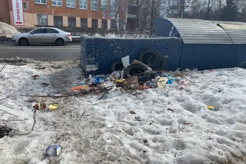 Мэрия Ярославля не справляется с уборкой мусорных площадок