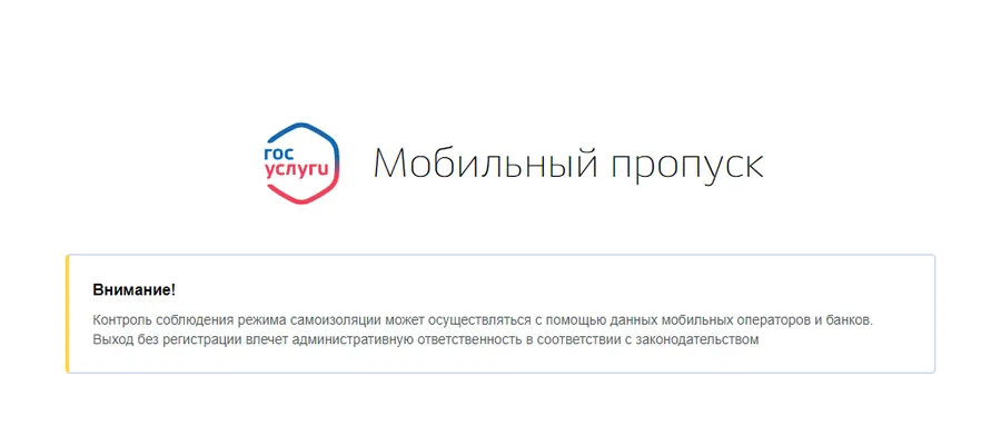Ярославские власти о спецпропусках: «Будем штрафовать тех, кто не понимает»