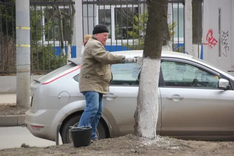 В центре Ярославля во дворах прошли субботники
