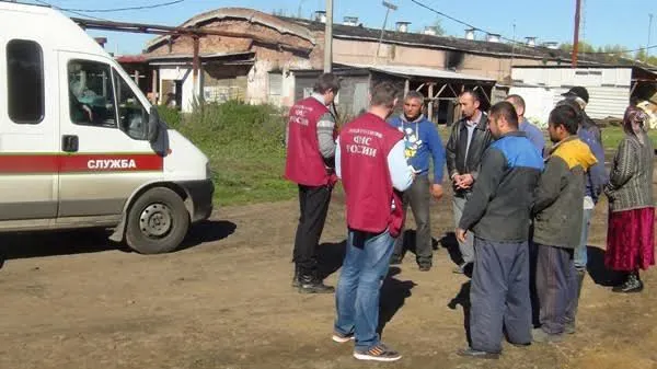 Граждане Узбекистана незаконно трудились в фермерском хозяйстве под Ростовом Великим