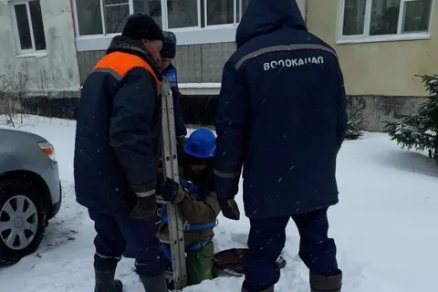  В Ярославской области установили решетки-ловушки