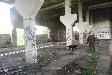 В МЧС сертифицируют кинологов и их питомцев