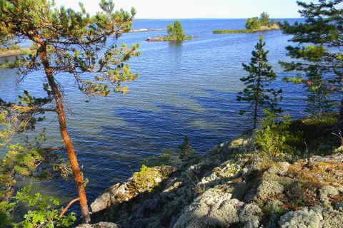 Приходите в Музей города отдохнуть душой