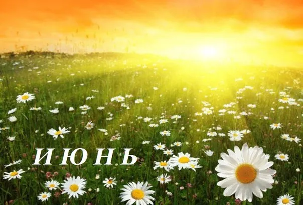 Июнь-2016, неделя третья: долгострои, Чайка и бассейн