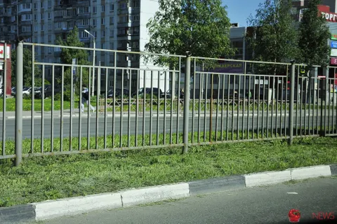 Ярославль День города встречает облезлыми и серым. С фото