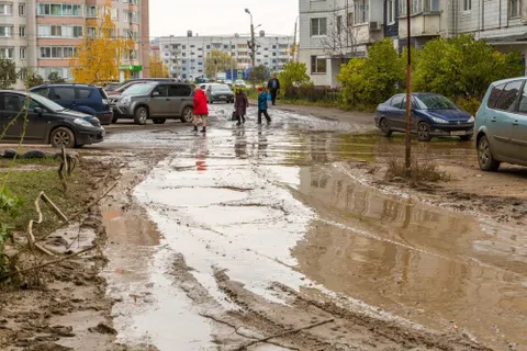 Строим и свинячим: ярославцы возмущены реализацией нацпроекта «Демография»