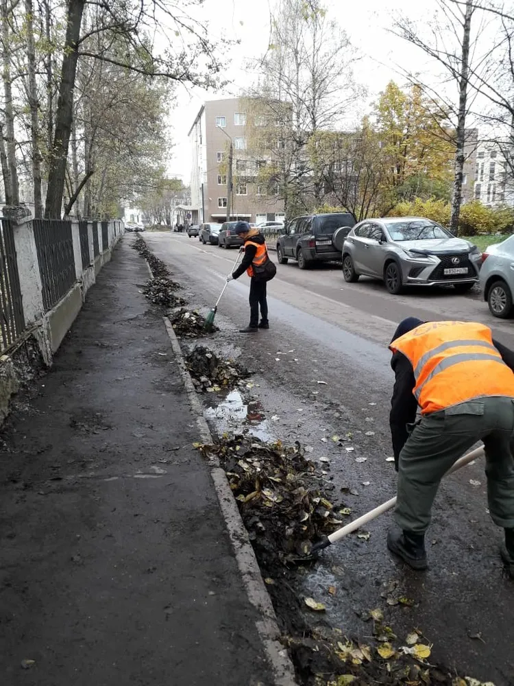 В Ярославле «САХ» приступил к уборке Ленинского района