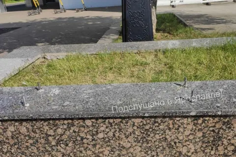 Из центра Ярославля пропало «утиное семейство»