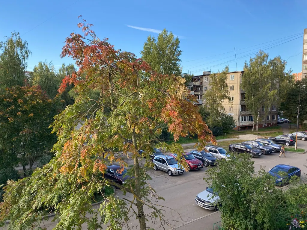 В ярославском Заволжье появились жалобы на химический запах