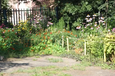 В конкурсе «Ярославль в цвету» приняли участие более тысячи энтузиастов