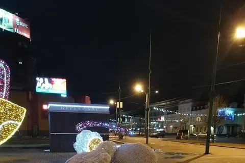 В Ярославле ветром унесло мышей