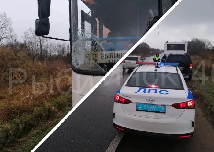 Под Рыбинском рейсовый автобус насмерть сбил велосипедиста