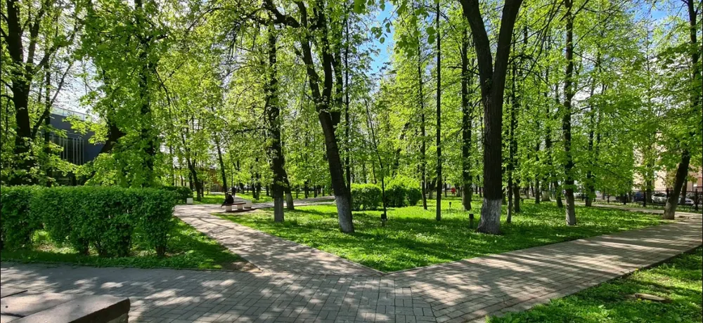 В центре Ярославля собираются сделать аллею юристов