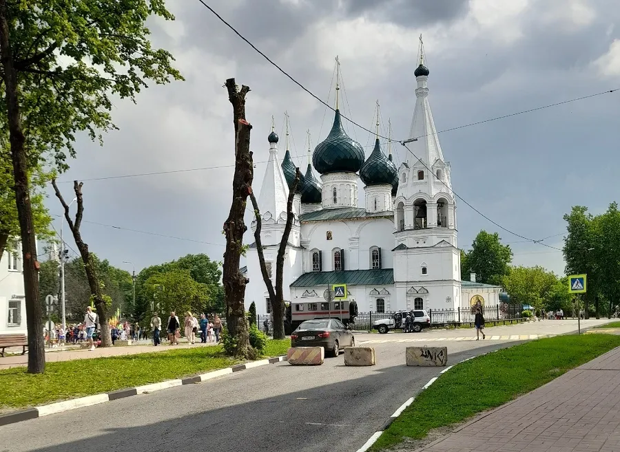 Эксперты назвали варварством обрезку деревьев в Ярославле